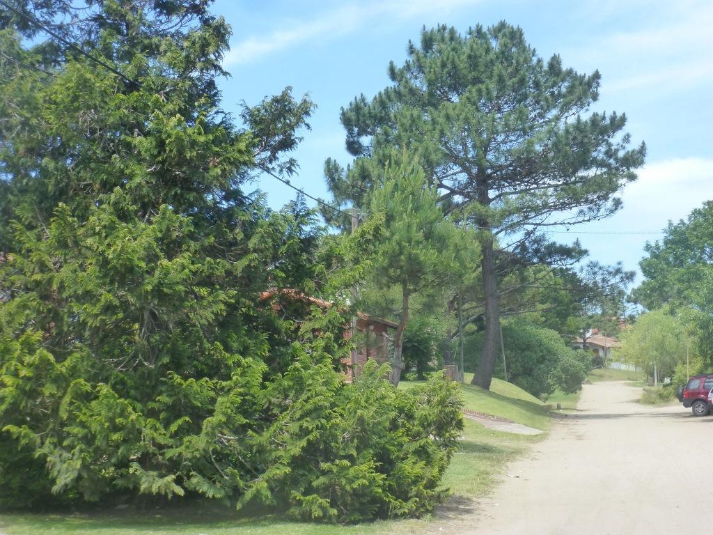 Casas De Pinamar Villa Exterior photo